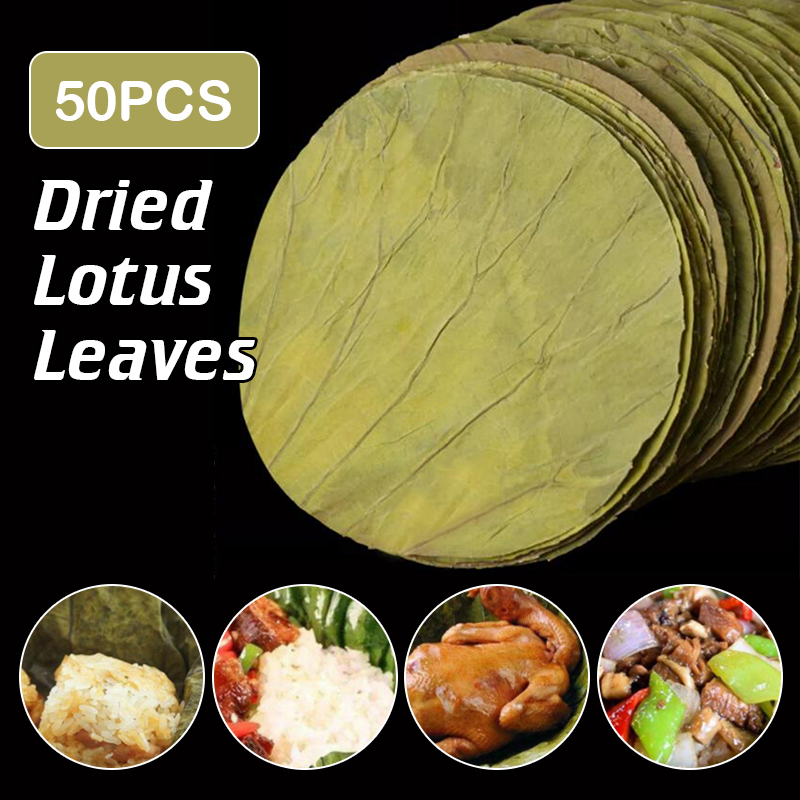 50 Uds. Disco grande de hojas  - Home Cooking Recipes reseña y precio